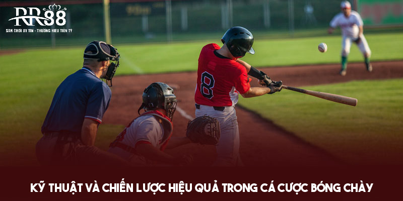 Một vài bí quyết nên áp dụng trong cá cược bóng chày